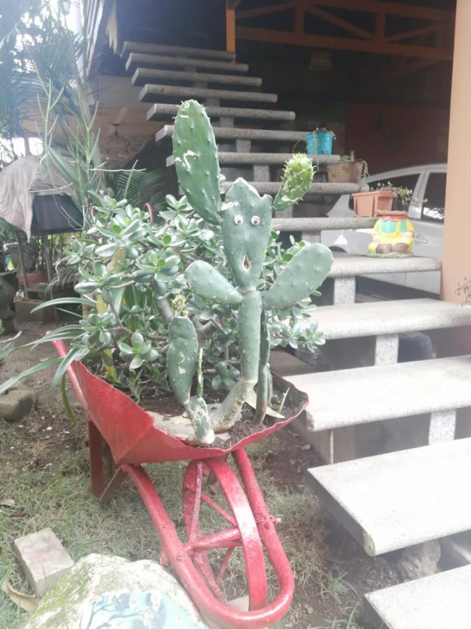 Apartmán Casa Cora Heredia Exteriér fotografie